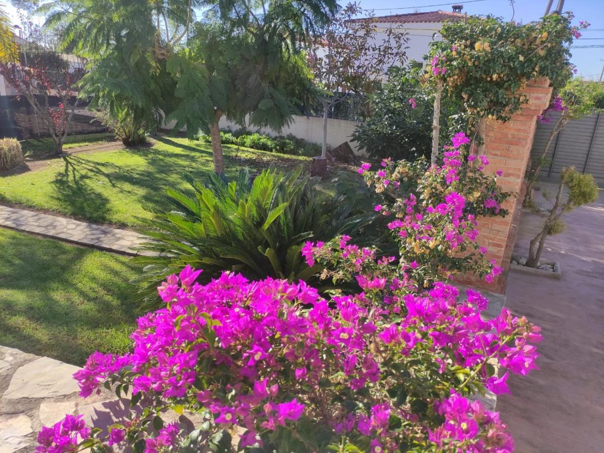 Villa Parets De Sucre Les Cases d'Alcanar Exterior photo